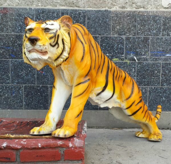 Tigre 1