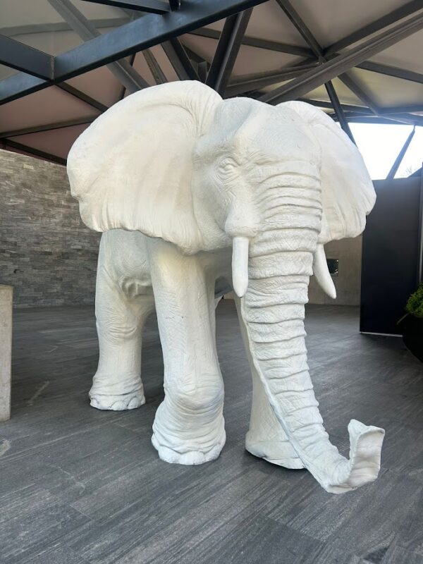 Elefante - Image 3